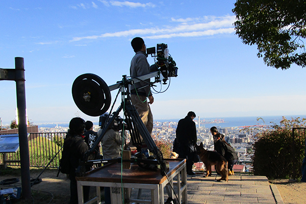 「二十歳と一匹」灘丸山公園にて