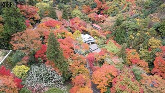 53.六甲・有馬 紅葉